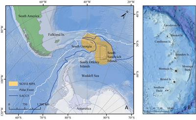 Macrobenthic Assessment of the South Sandwich Islands Reveals a Biogeographically Distinct Polar Archipelago